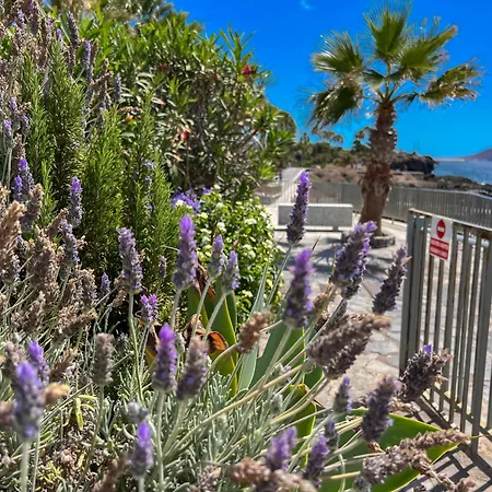 Paz Ocean View Luxury, Air Condition, Wifi, Heated Pool Apartment *