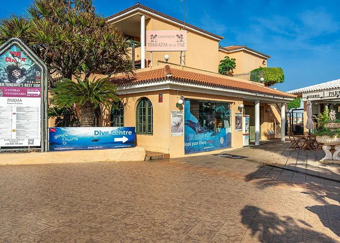 Paz Ocean View Luxury, Air Condition, Wifi, Heated Pool 公寓 *