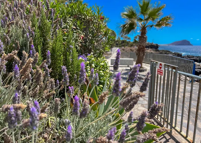 Paz Ocean View Luxury, Air Condition, Wifi, Heated Pool 公寓 *